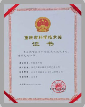 IT行業資質及榮譽