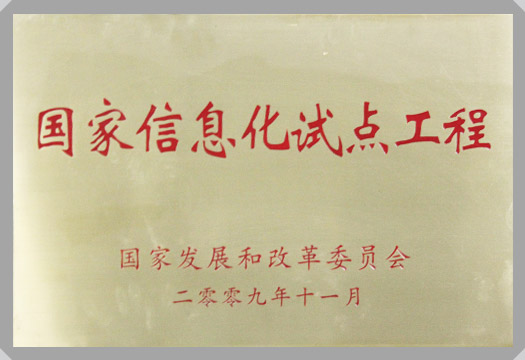 IT行業資質及榮譽