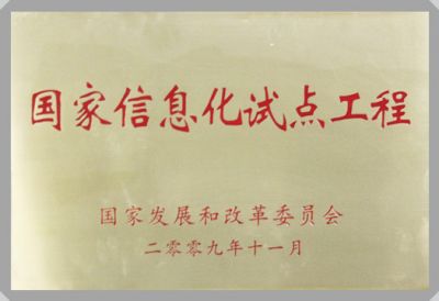 IT行業資質及榮譽