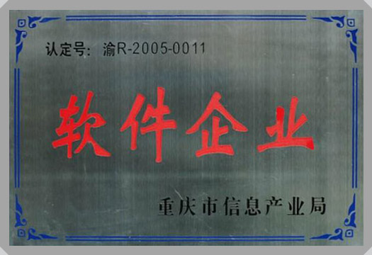 IT行業資質及榮譽