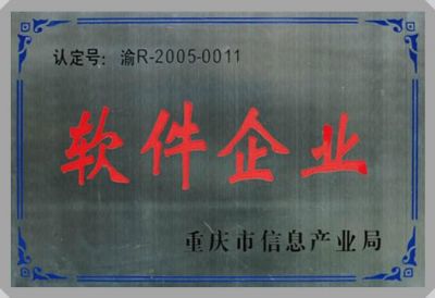 IT行業資質及榮譽