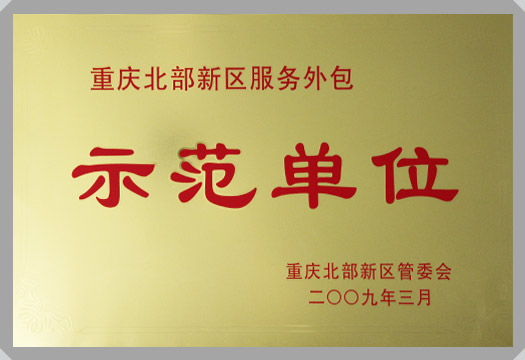 IT行業資質及榮譽