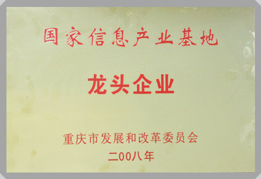 IT行業資質及榮譽