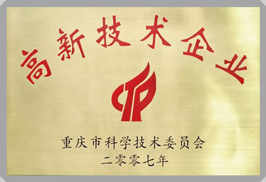IT行業資質及榮譽